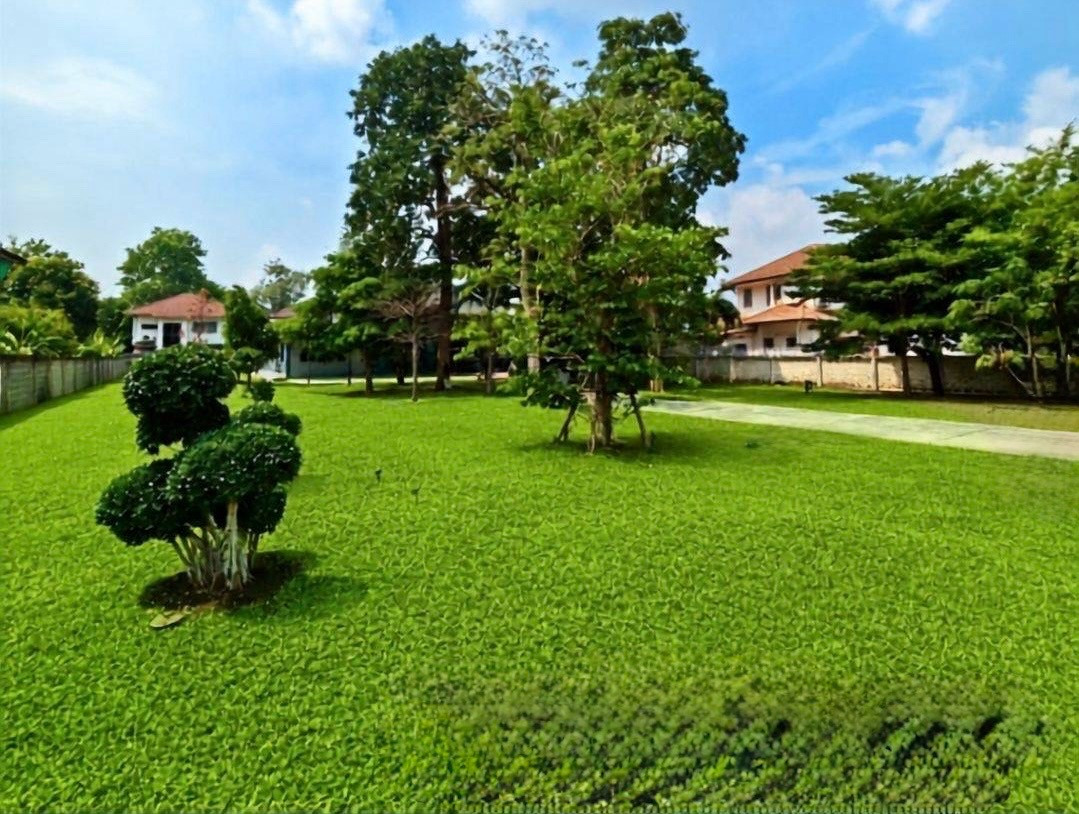 ขายที่ดินผืนใหญ่ งามวงศ์วาน 595 ตร.ว. ขายในราคาที่ดิน พร้อมบ้านเดี่ยว 500 ตร.ม. ขายที่ดินผืนใหญ่ งามวงศ์วาน 595 ตร.ว. ขายในราคาที่ดิน พร้อมบ้านเดี่ยว 500 ตร.ม.