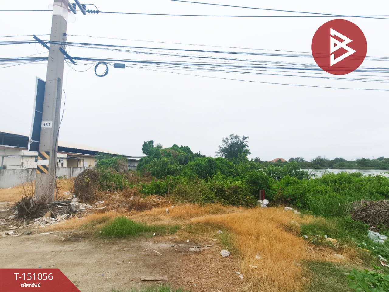 Land for sale, 1 rai 91 square wah, Bang Pakong, Chachoengsao. – รูปที่ 4