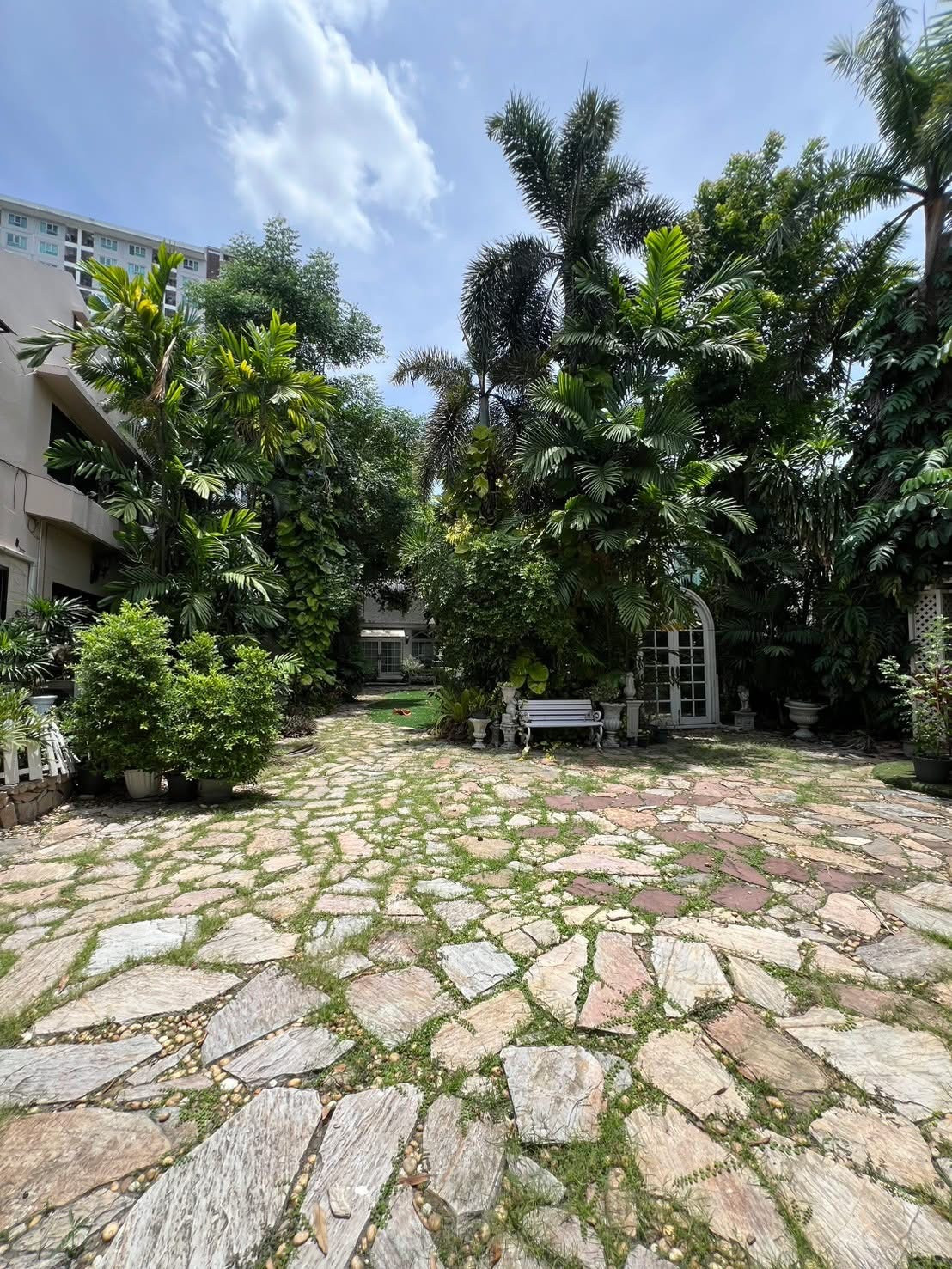 For Rent : Rare Glasshouse Garden space in Sukhumvit 101 Only 550 meter to BTS – รูปที่ 4