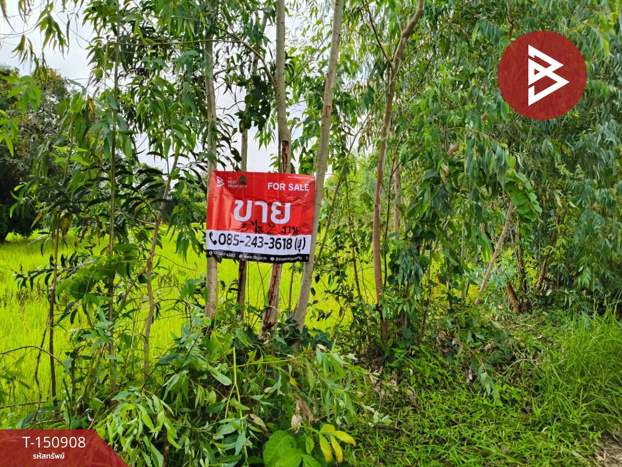 ขายที่ดิน เนื้อที่ 3 ไร่ 2 งาน ธวัชบุรี ร้อยเอ็ด ขายที่ดิน เนื้อที่ 3 ไร่ 2 งาน ธวัชบุรี ร้อยเอ็ด