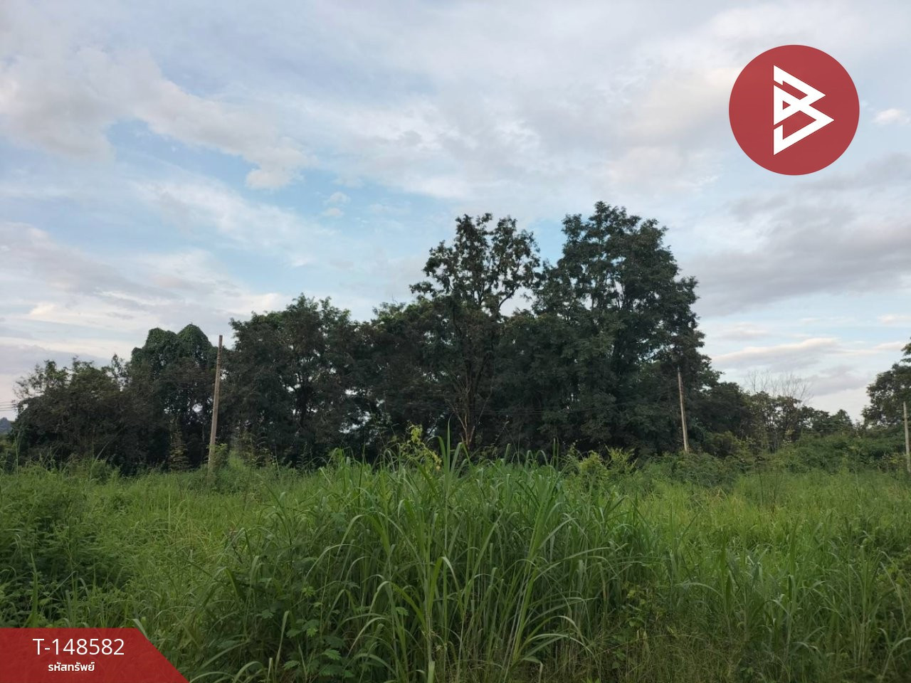 Land for sale, area 51 rai 2 ngan 22.9 sq m, Wisit, Bueng Kan. – รูปที่ 2