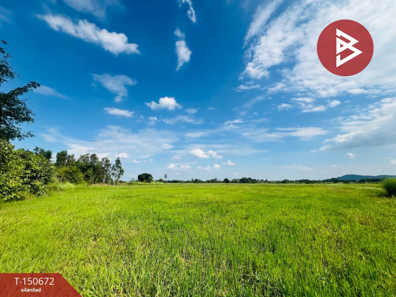 Land for sale, area 16 rai 1 ngan 34 sq m, Takhli, Nakhon Sawan. – รูปที่ 2