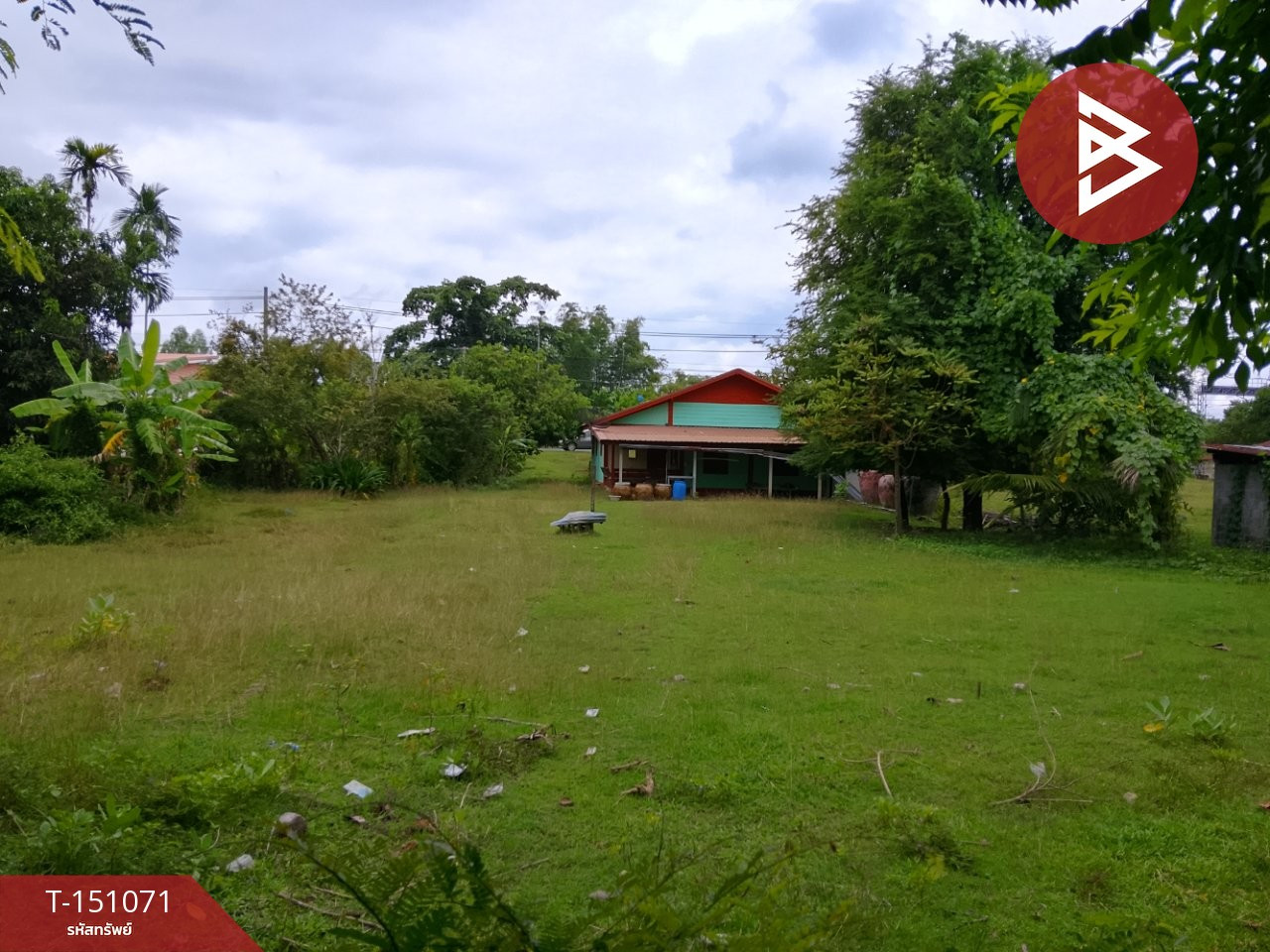 Single house with land for sale, area 3 ngan 80 sq m, Prasat, Surin. – รูปที่ 2