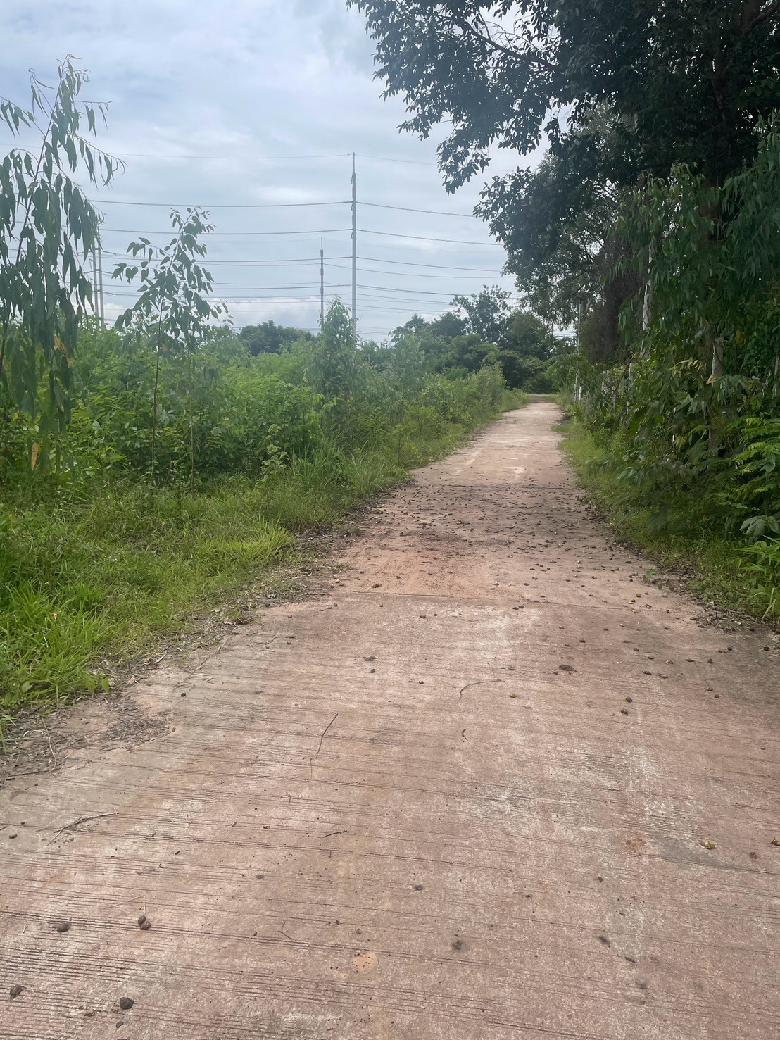 Land for sale, 13 rai, Nakha Subdistrict, Mueang Udon Thani District, National Highway Road (2255) – รูปที่ 3