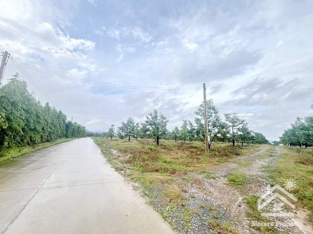 Durian orchard for sale, Chamang Subdistrict, Makham District, investment opportunity in durian orchard, Chanthaburi, area over 20 rai. – รูปที่ 4