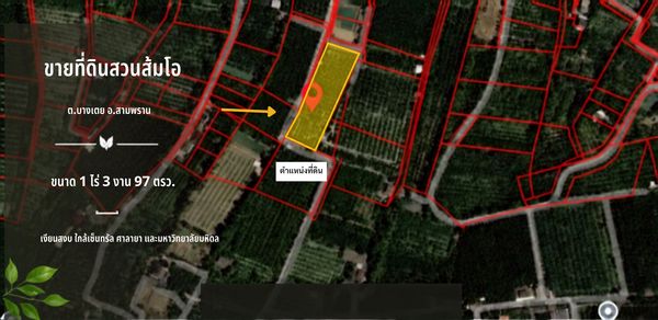Don’t Miss This! Great Price!! Beautiful Pomelo Orchard Land for Sale Beautiful land with an existing pomelo orchard, totaling 1 Rai 3 Ngan 97 Sq.Wah (797 Sq.Wah).