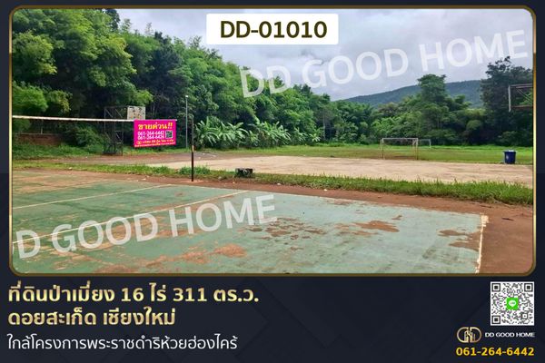 Forest land in Pa Miang Doi Saket Chiang Mai 16 Rai, 311 Sq. Wah DD-01010