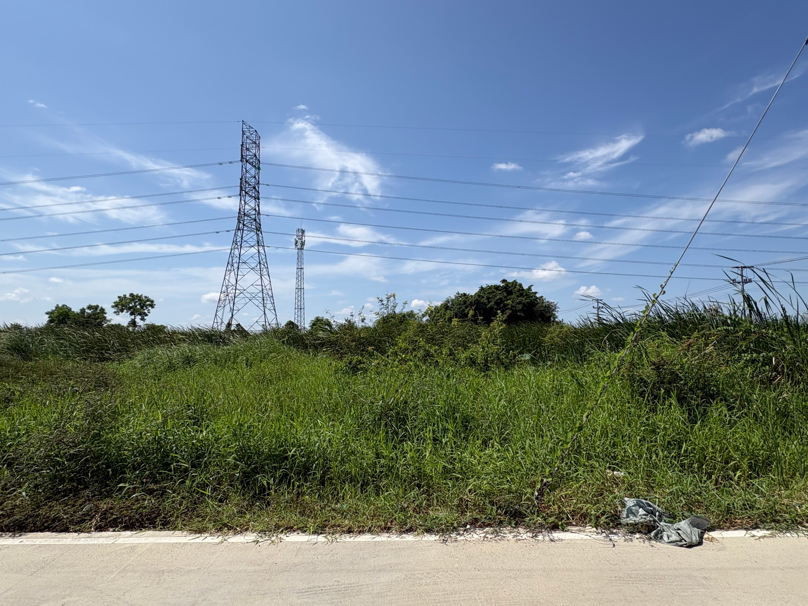 ขายที่ดิน 50 ตร.ว. ซอยคลองสาม 1/7 ราคาเพียง 1 ล้าน เหมาะสร้างบ้าน / ลงทุน – รูปที่ 3