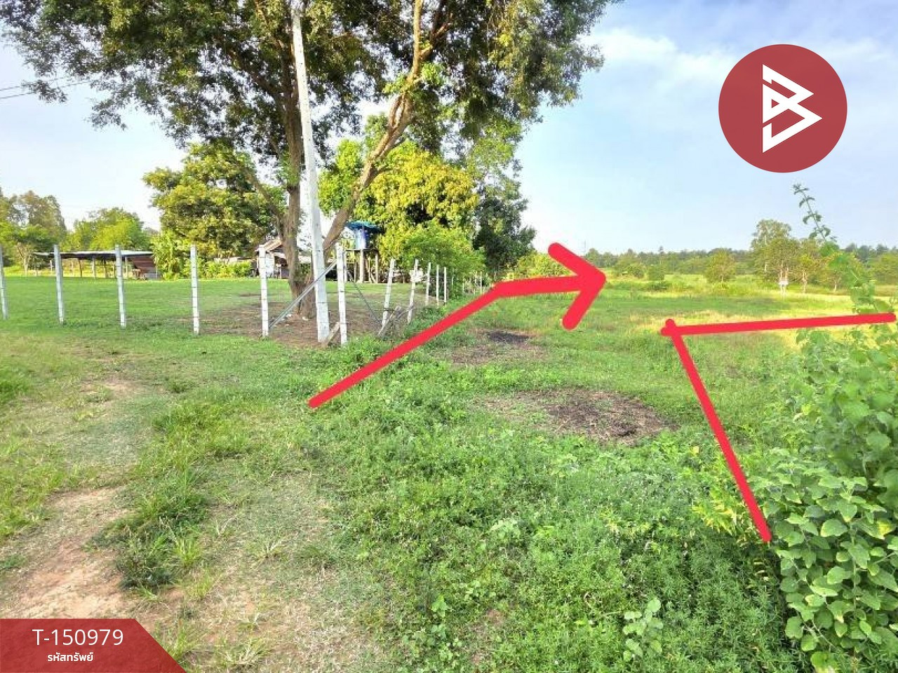 Land for sale, area 12 rai 1 ngan 61.4 sq m, Borabue, Maha Sarakham. – รูปที่ 2