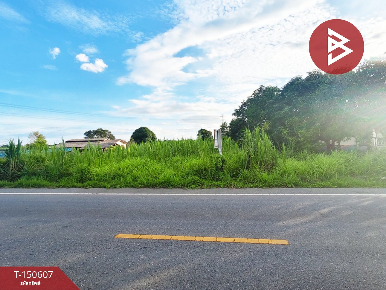 Land for sale, area 4 rai 3 ngan 34.9 sq m, Ban Yang, Nakhon Pathom. – รูปที่ 4