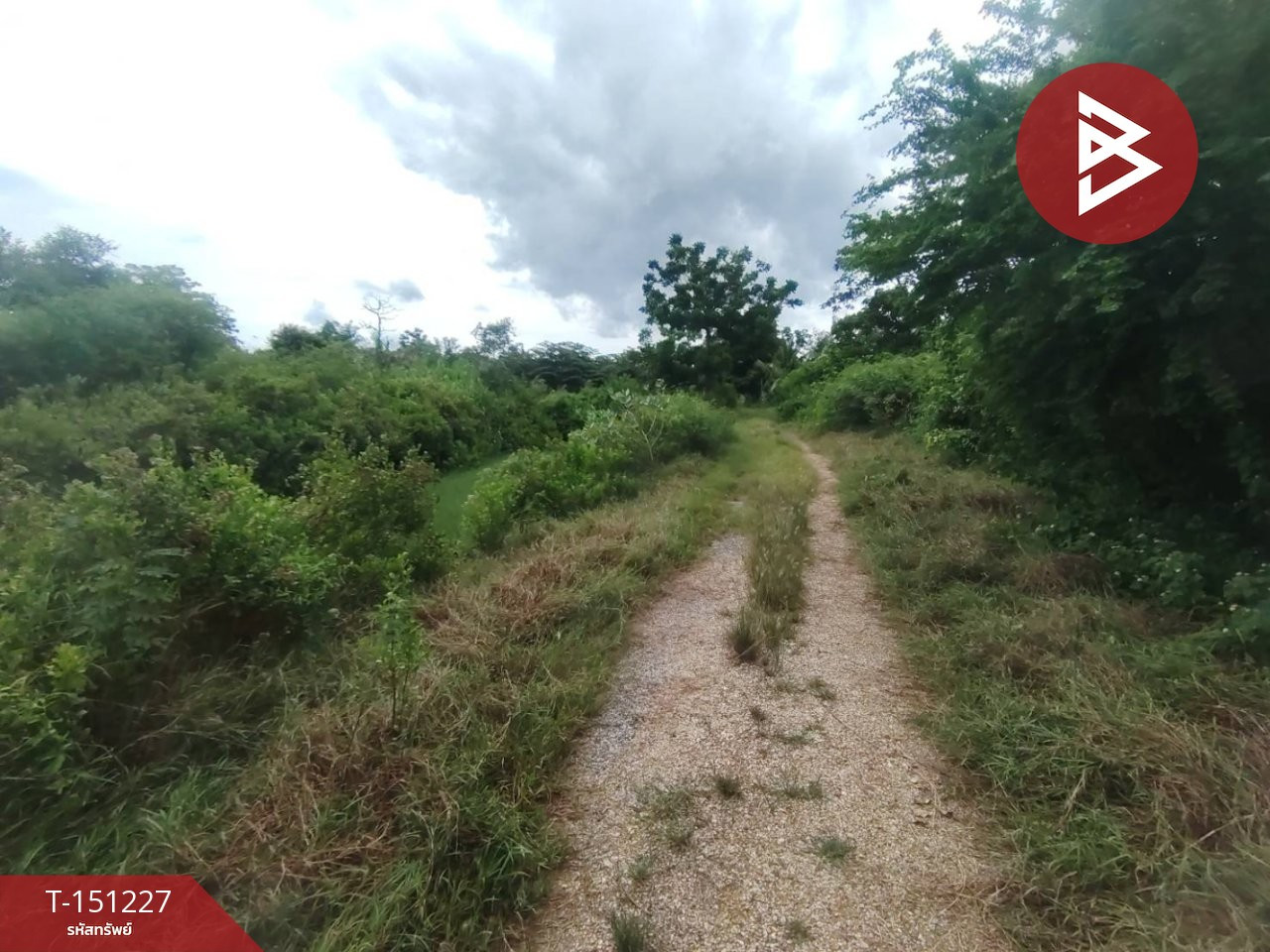 Land for sale, area 9 rai 73.9 sq m, Don Tum, Nakhon Pathom. – รูปที่ 2