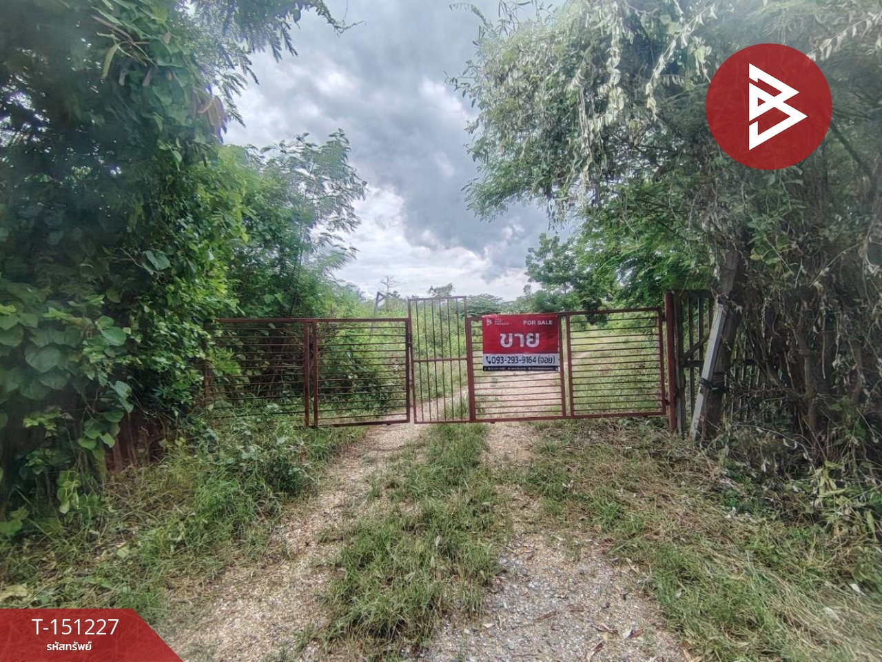 Land for sale, area 9 rai 73.9 sq m, Don Tum, Nakhon Pathom.