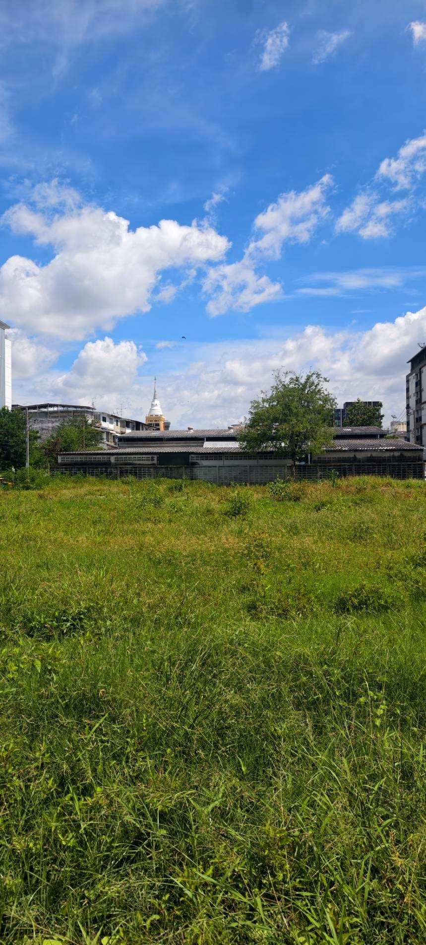 Land for rent: Sukhumvit 101 (Soi Punnawithi 15/17). Area: 1 Rai 92 Sq. Wah. Rental price: 80,000 Baht/month. – รูปที่ 2