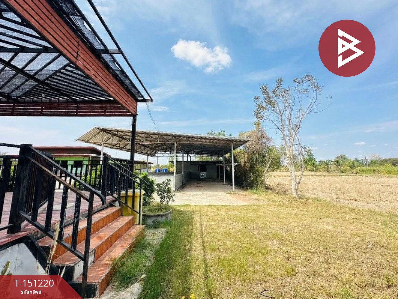 ขายบ้านเดี่ยวพร้อมที่ดิน เนื้อที่ 7 ไร่ 2 งาน บ้านไผ่ ขอนแก่น ทำเลดี – รูปที่ 3