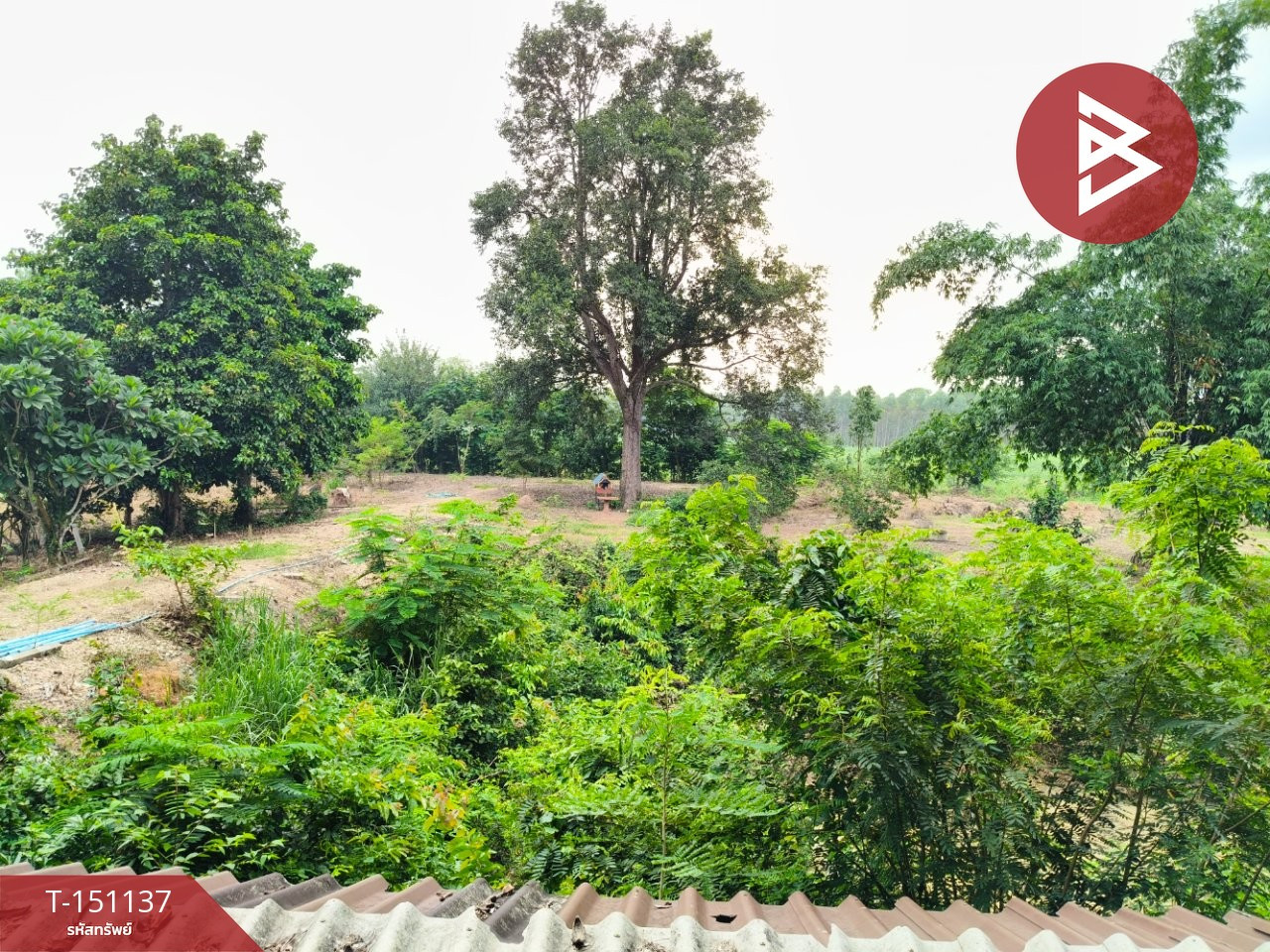 Land for sale with buildings and fruit orchard, 27 rai 2 ngan 38 square wah, Watthana Nakhon, Sa Kaeo. – รูปที่ 3