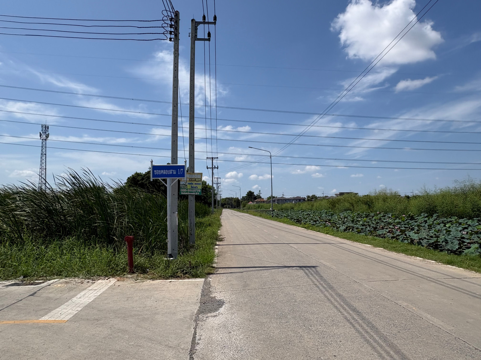 ขายที่ดิน 50 ตร.ว. ซอยคลองสาม 1/7 ราคาเพียง 1 ล้าน เหมาะสร้างบ้าน / ลงทุน ขายที่ดิน 50 ตร.ว. ซอยคลองสาม 1/7 ราคาเพียง 1 ล้าน เหมาะสร้างบ้าน / ลงทุน