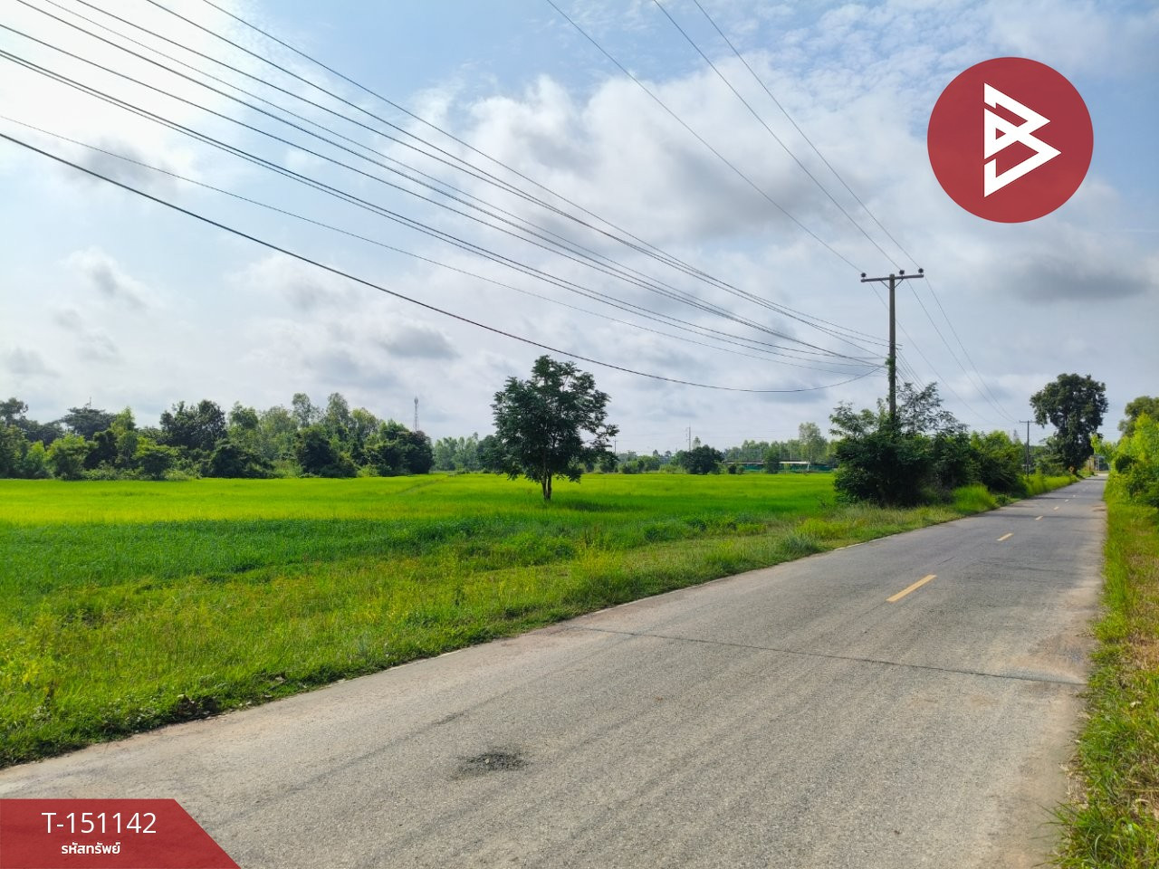 ขายที่ดิน เนื้อที่ 4 ไร่ 3 งาน 60 ตร.วา ธวัชบุรี ร้อยเอ็ด – รูปที่ 4