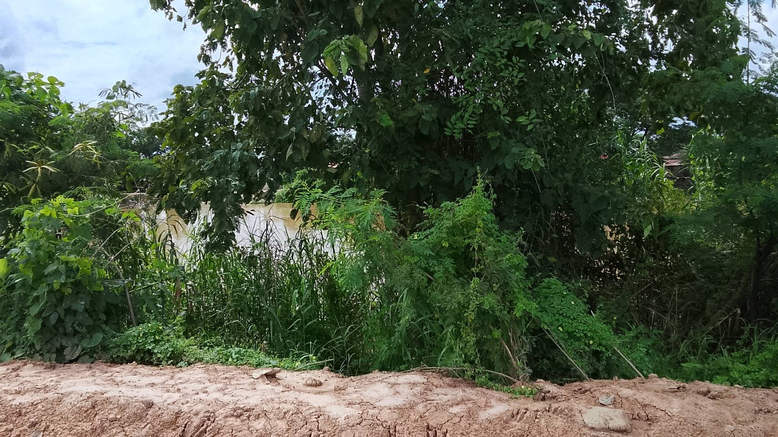 Empty land for sale – รูปที่ 2