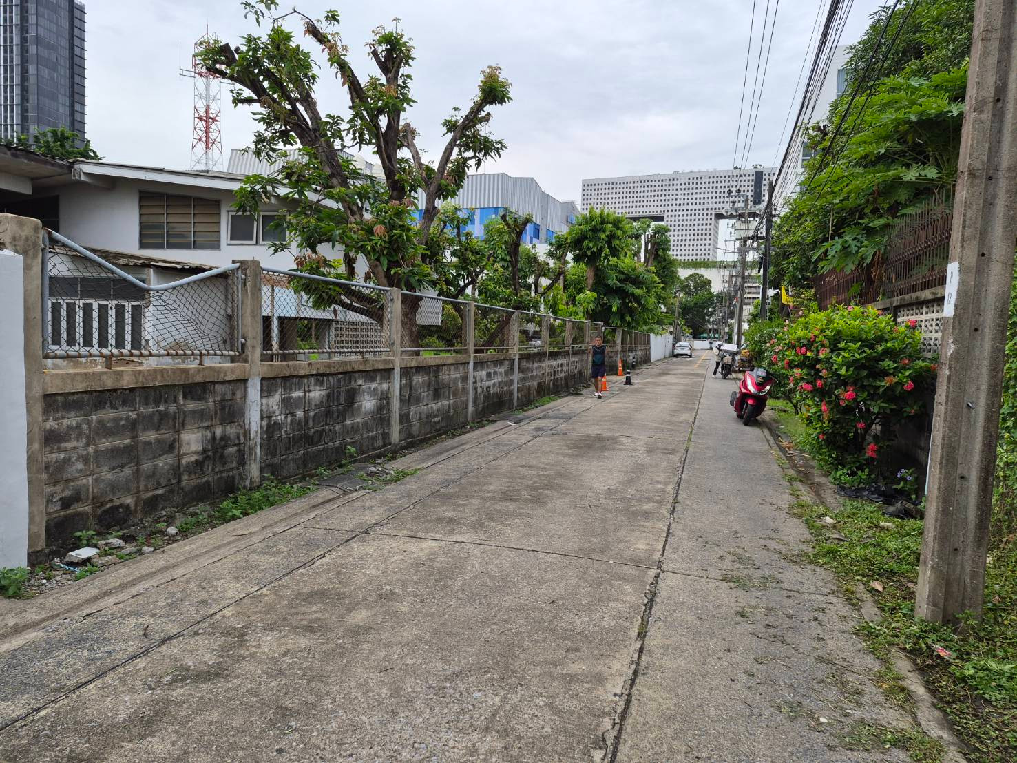 ที่ดิน รัชโยธิน 287 ตร.วา ใกล้ BTS ,Major รัชโยธิน, ม.เกษตรฯ, เซ็นทรัล พหลโยธินใหม่, รัชดาภิเษก, SCB สนง.ใหญ่, พหลโยธิน, ซอยเสนาฯ – รูปที่ 2