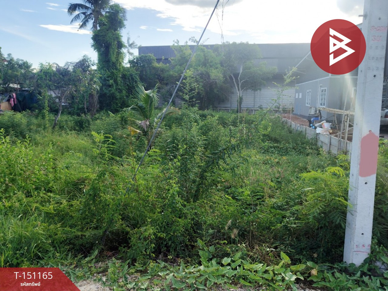 ขายที่ดิน เนื้อที่ 2 งาน ดำเนินสะดวก ราชบุรี – รูปที่ 3
