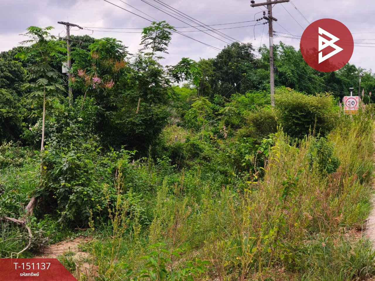 Land for sale with buildings and fruit orchard, 27 rai 2 ngan 38 square wah, Watthana Nakhon, Sa Kaeo. – รูปที่ 4