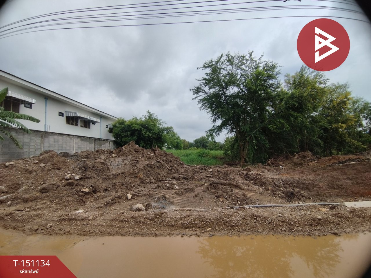 ขายที่ดิน เนื้อที่ 2 ไร่ คลองสิบ ต.บึงบา อ.หนองเสือ จ.ปทุมธานี ขายที่ดิน เนื้อที่ 2 ไร่ คลองสิบ ต.บึงบา อ.หนองเสือ จ.ปทุมธานี