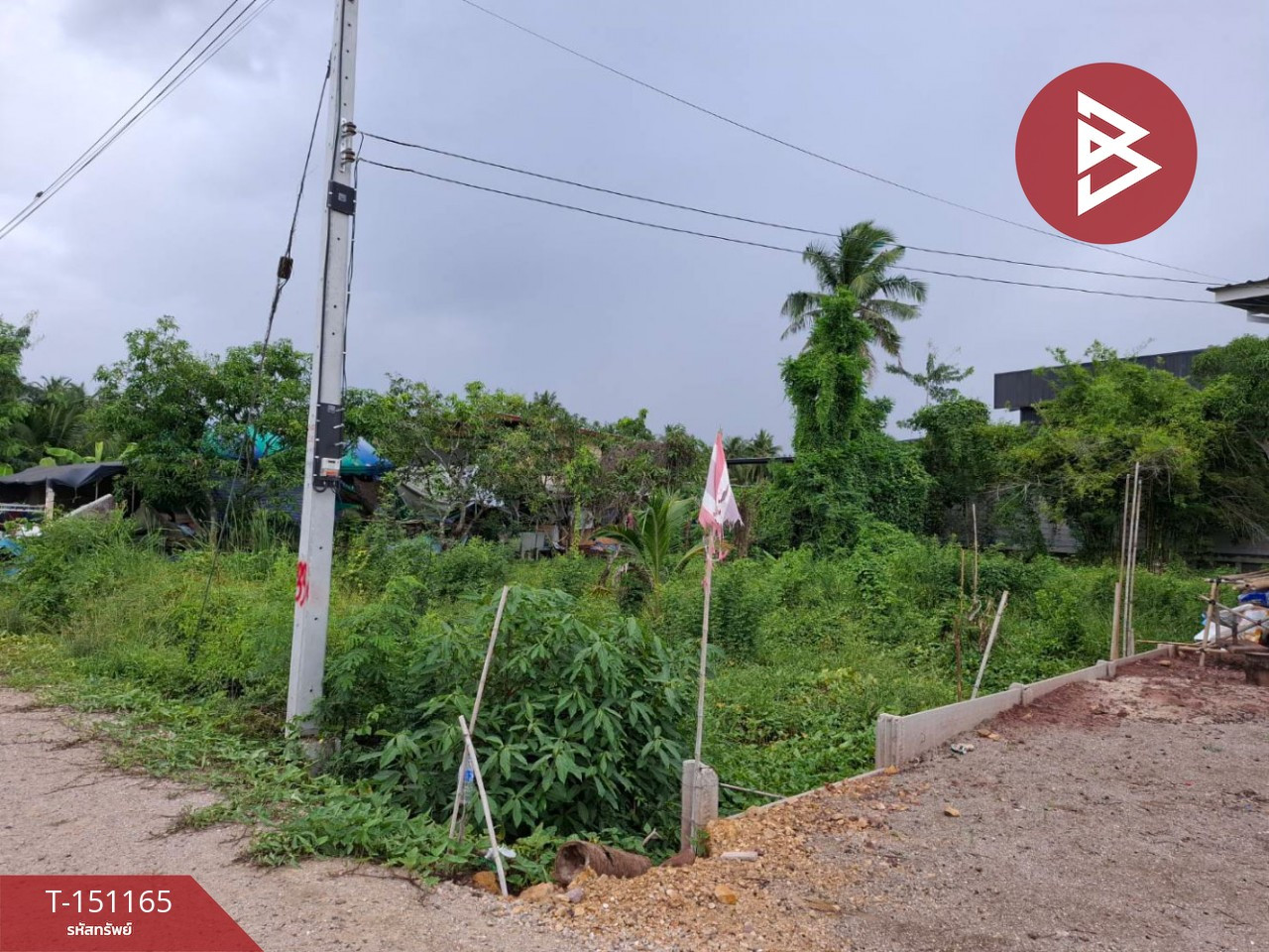 ขายที่ดิน เนื้อที่ 2 งาน ดำเนินสะดวก ราชบุรี – รูปที่ 2