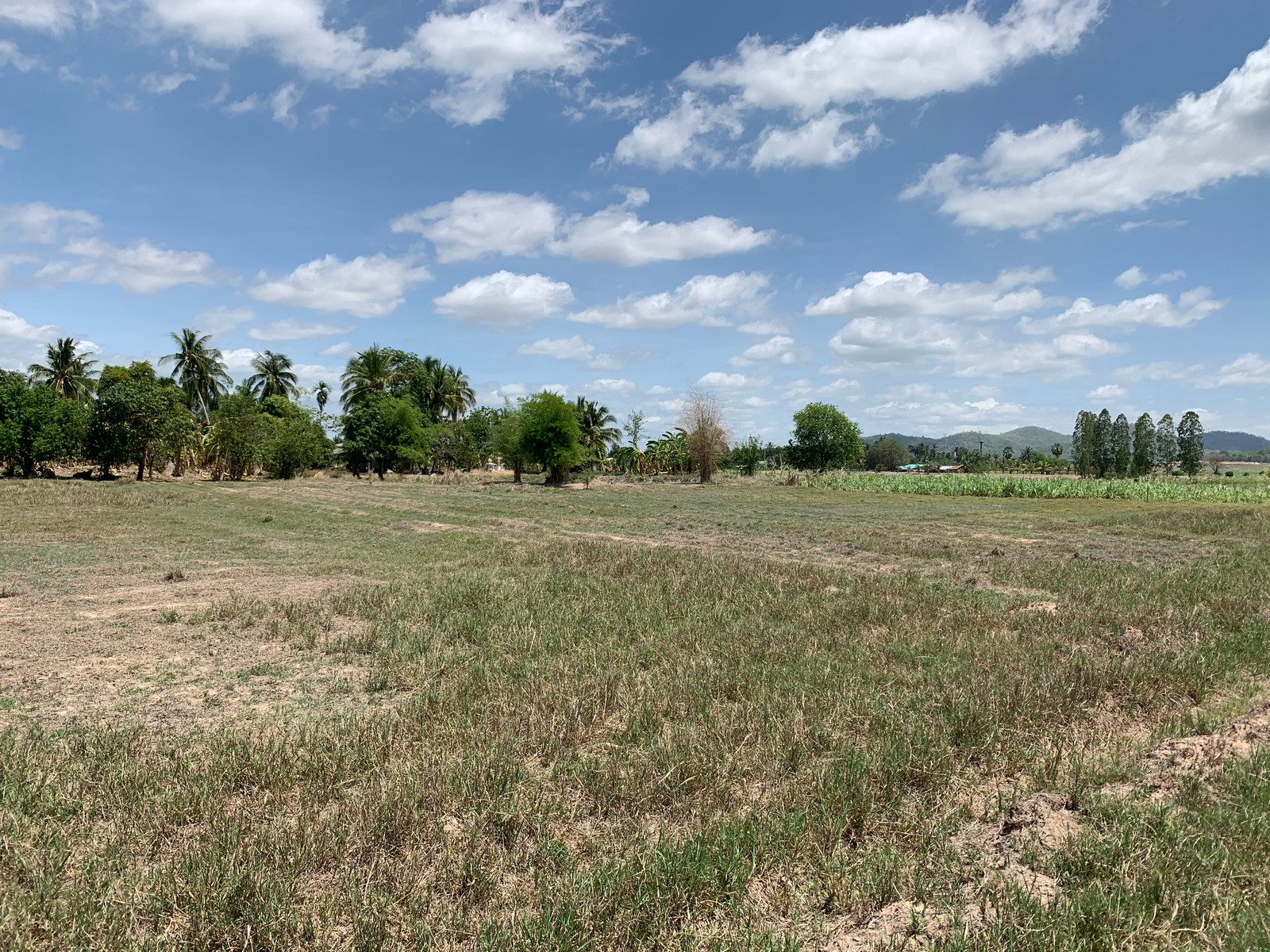 Land for sale 13 rai 82 sq m., Khao Khlung Subdistrict, Ban Pong District. Ratchaburi Province