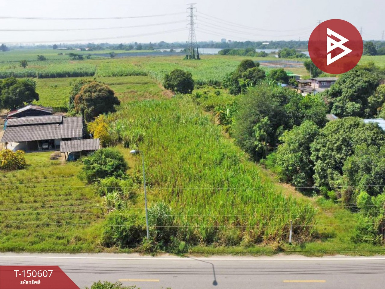 Land for sale, area 4 rai 3 ngan 34.9 sq m, Ban Yang, Nakhon Pathom.