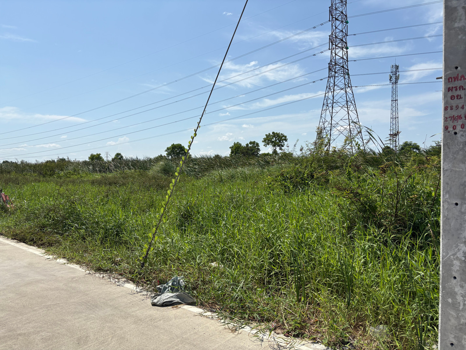 ขายที่ดิน 50 ตร.ว. ซอยคลองสาม 1/7 ราคาเพียง 1 ล้าน เหมาะสร้างบ้าน / ลงทุน – รูปที่ 2