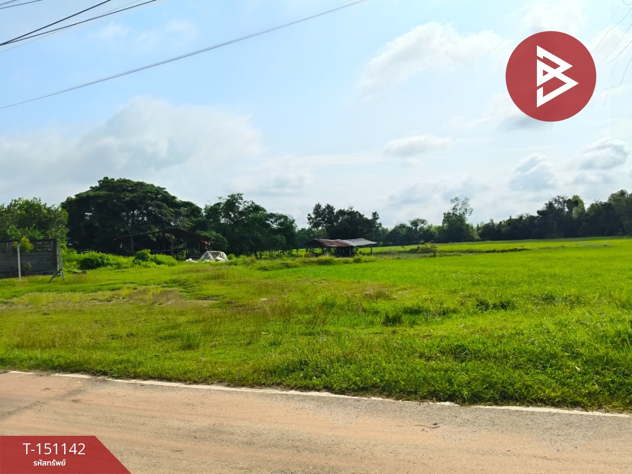ขายที่ดิน เนื้อที่ 4 ไร่ 3 งาน 60 ตร.วา ธวัชบุรี ร้อยเอ็ด – รูปที่ 3