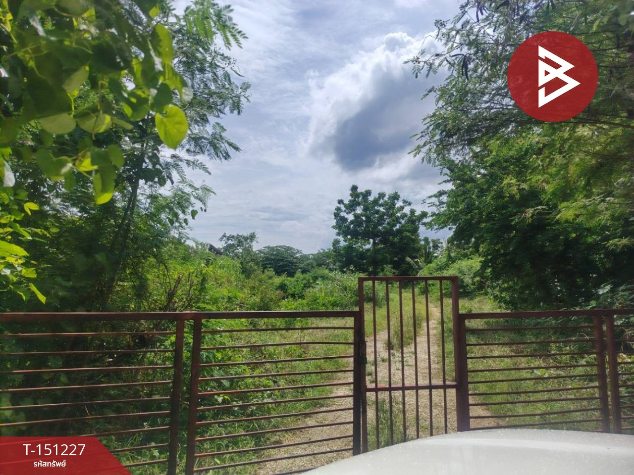 Land for sale, area 9 rai 73.9 sq m, Don Tum, Nakhon Pathom. – รูปที่ 3