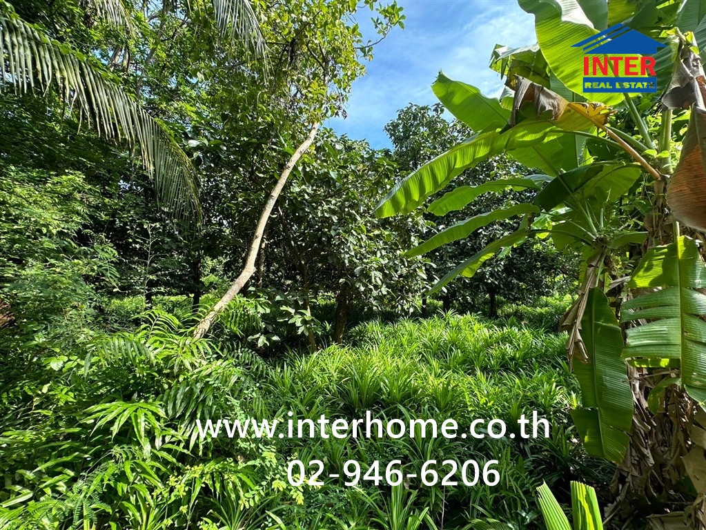 ที่ดินเปล่า + สวนใบเตย 817.1 ตร.ว. ชุมชนหมู่4 ชาวบางแวก ถนนราชพฤกษ์ ถนนบางแวก เขตภาษีเจริญ กรุงเทพมหานคร  – รูปที่ 3