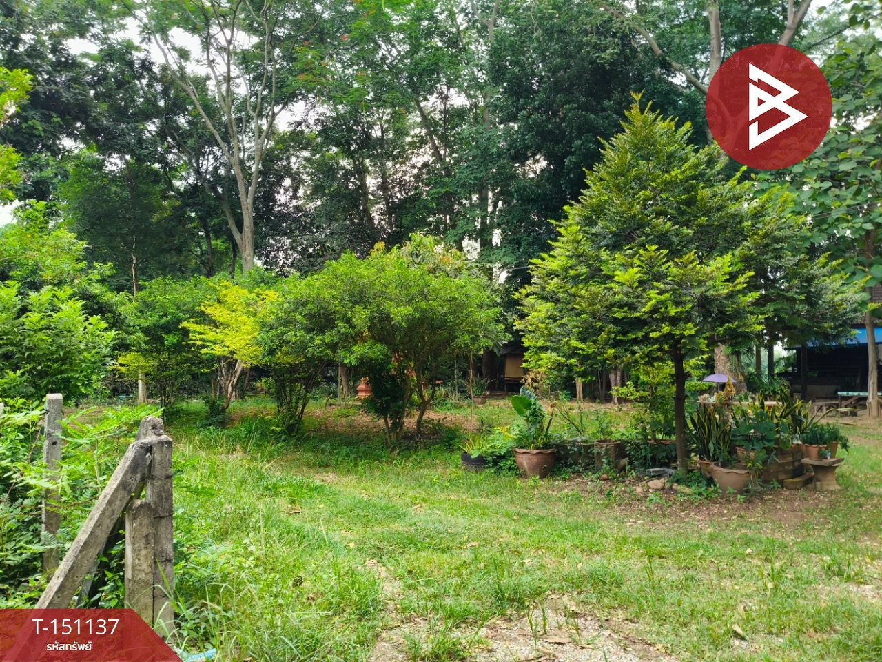 Land for sale with buildings and fruit orchard, 27 rai 2 ngan 38 square wah, Watthana Nakhon, Sa Kaeo. – รูปที่ 2