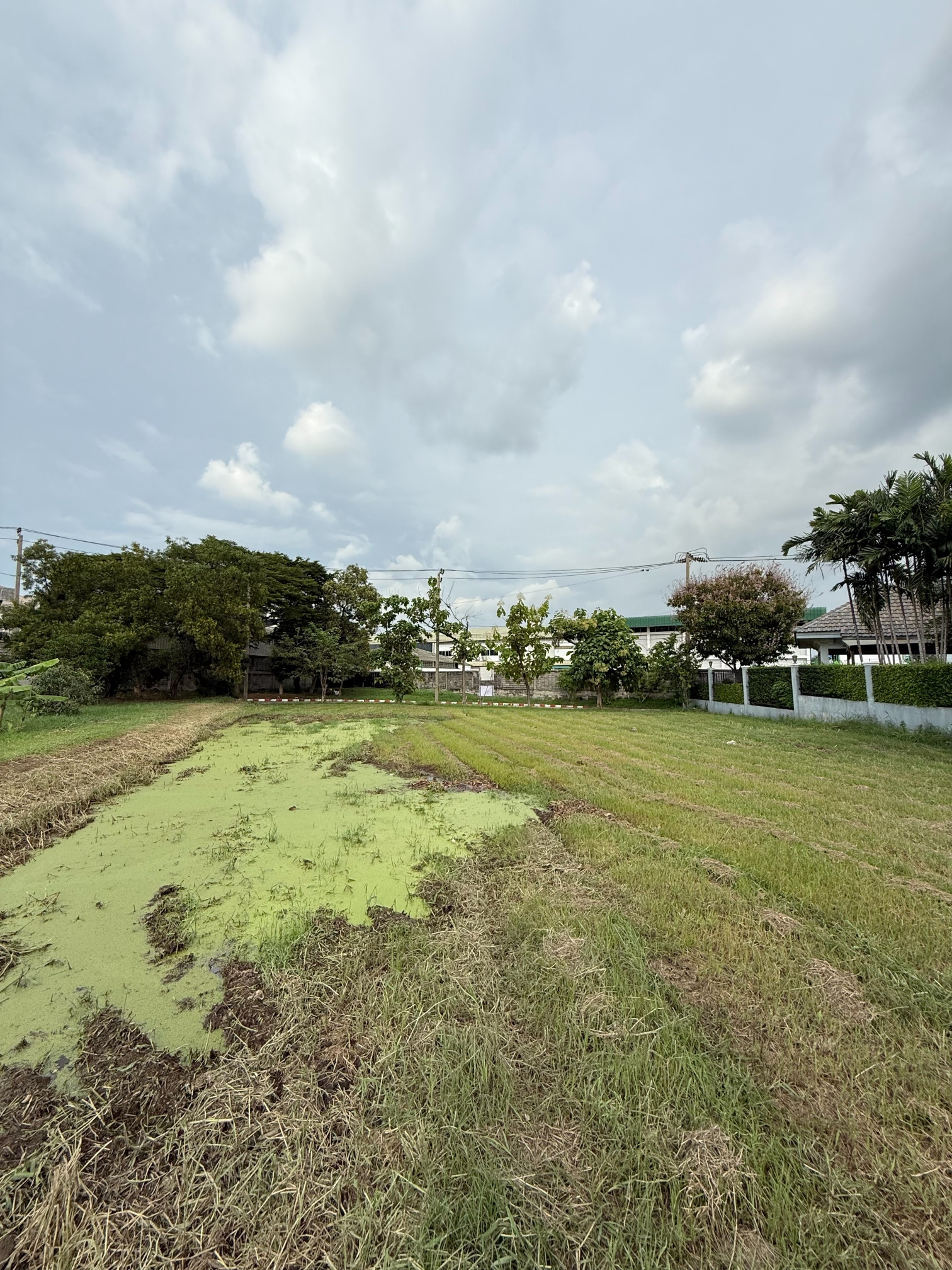 ขายที่ดินเปล่าหมู่บ้านวินมิลล์(สนามกอล์ฟ Summit Winmill)ที่ดิน 235 ตรว. ด้านหลังติด​Lake สวยมากราคาดีที่สุดในโครงการ – รูปที่ 3