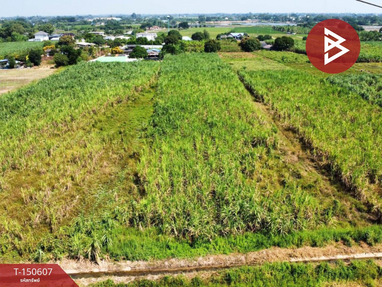Land for sale, area 4 rai 3 ngan 34.9 sq m, Ban Yang, Nakhon Pathom. – รูปที่ 3