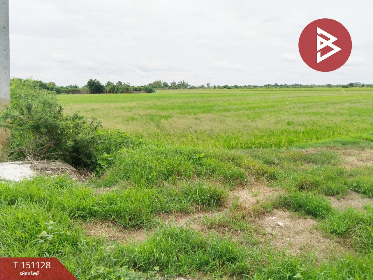 Land for sale, area 17 rai 2 ngan 9.2 square wah, Bang Len, Nakhon Pathom.