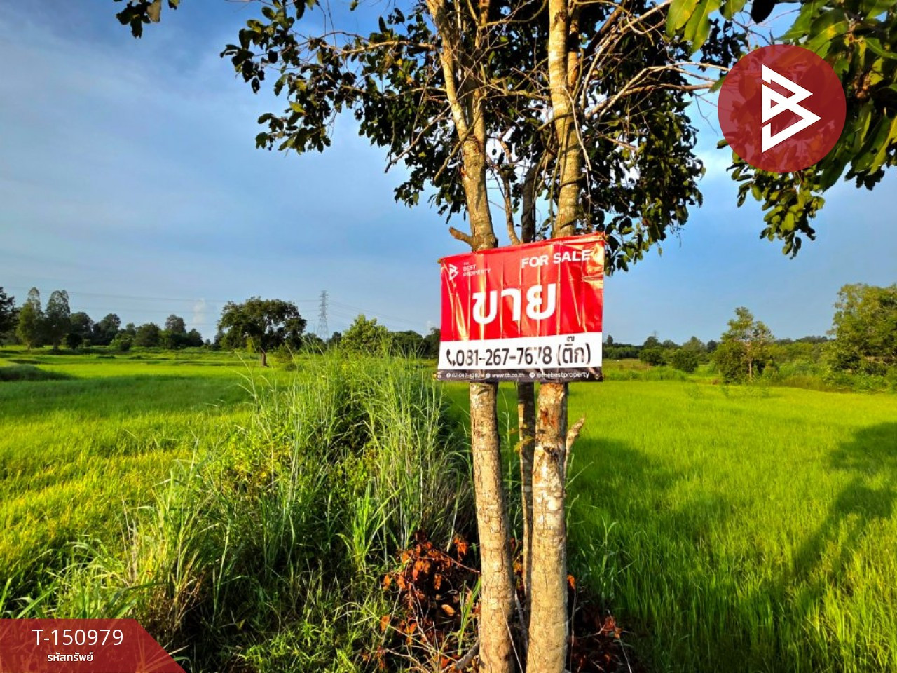 Land for sale, area 12 rai 1 ngan 61.4 sq m, Borabue, Maha Sarakham. Land for sale, area 12 rai 1 ngan 61.4 sq m, Borabue, Maha Sarakham.