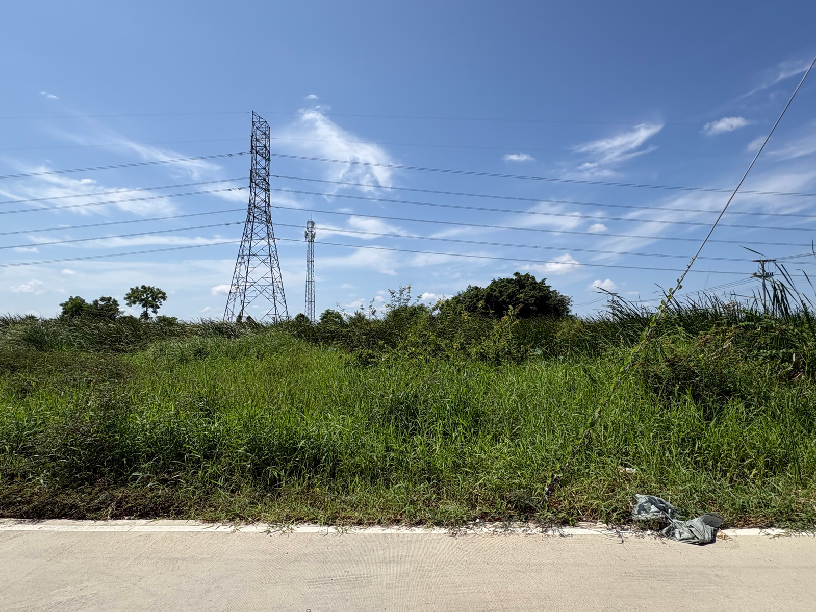 ขายที่ดิน 50 ตร.ว. ซอยคลองสาม 1/7 ราคาเพียง 1 ล้าน เหมาะสร้างบ้าน / ลงทุน – รูปที่ 4