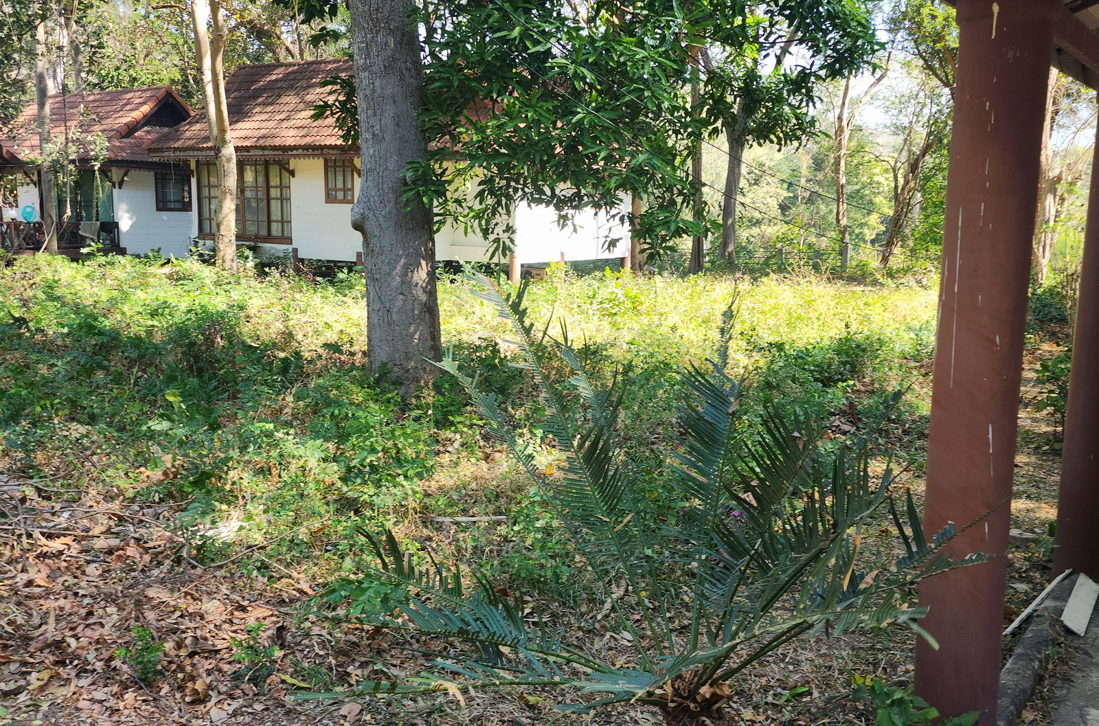 Empty land for the Supalai Pasak Resort project.