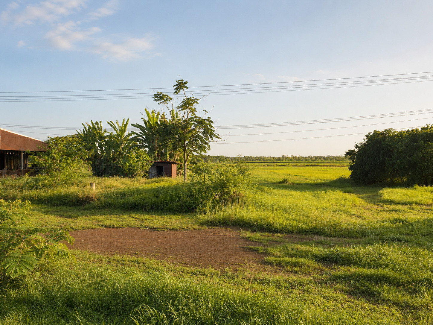 Land with Existing Building on Highway 2091, Wanon Niwat, Sakon Nakhon – รูปที่ 3