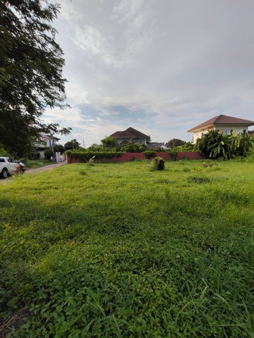 ขายที่ดินถมแล้ว 198 ตร.ว.ย่านนวมินทร์ หมู่บ้านศรีนครพัฒนา ใกล้เดอะมอลล์บางกะปิ เลียบด่วน ที่ดินถมสูงจากถระดับถนนประมาณ 60 ซ.ม. ถมมาแล้วประมาณ 5ปี ขายที่ดินถมแล้ว 198 ตร.ว.ย่านนวมินทร์ หมู่บ้านศรีนครพัฒนา ใกล้เดอะมอลล์บางกะปิ เลียบด่วน ที่ดินถมสูงจากถระดับถนนประมาณ 60 ซ.ม. ถมมาแล้วประมาณ 5ปี