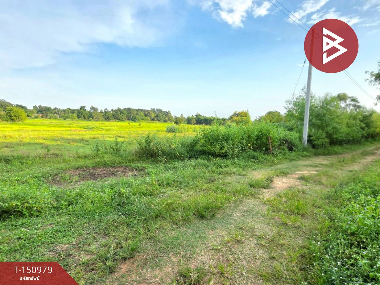 Land for sale, area 12 rai 1 ngan 61.4 sq m, Borabue, Maha Sarakham. – รูปที่ 3