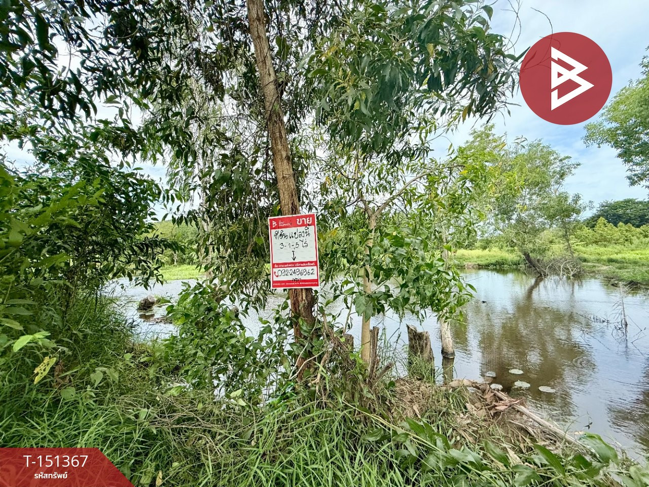 Land for sale, area 3 rai 1 ngan 5 sq m, Tha Mai, Chanthaburi. Land for sale, area 3 rai 1 ngan 5 sq m, Tha Mai, Chanthaburi.