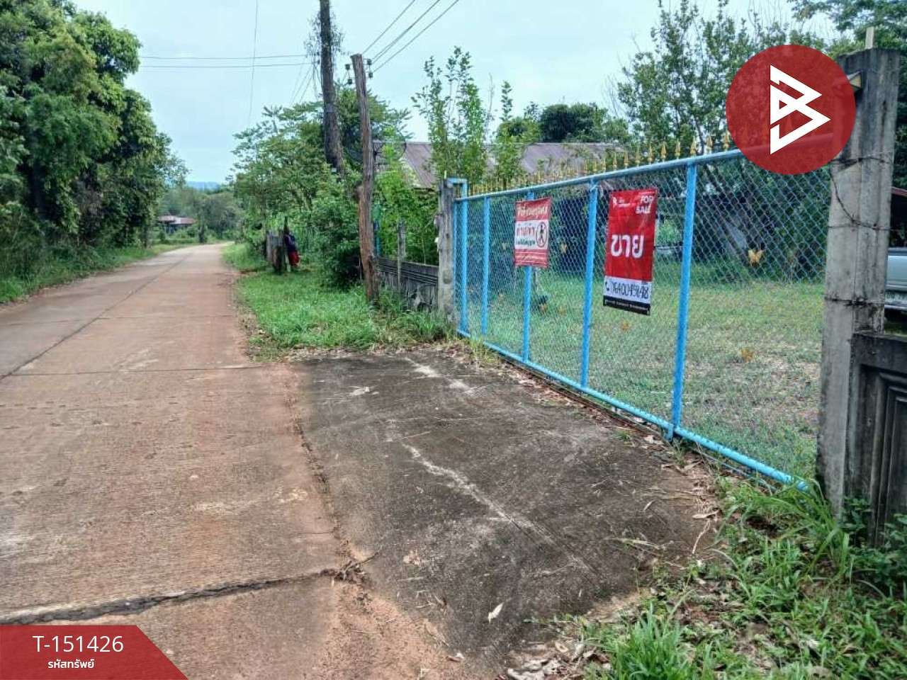 2 plots of land for sale, total area 6 rai 64 square wah, Na Kae, Nakhon Phanom, near community areas. – รูปที่ 3