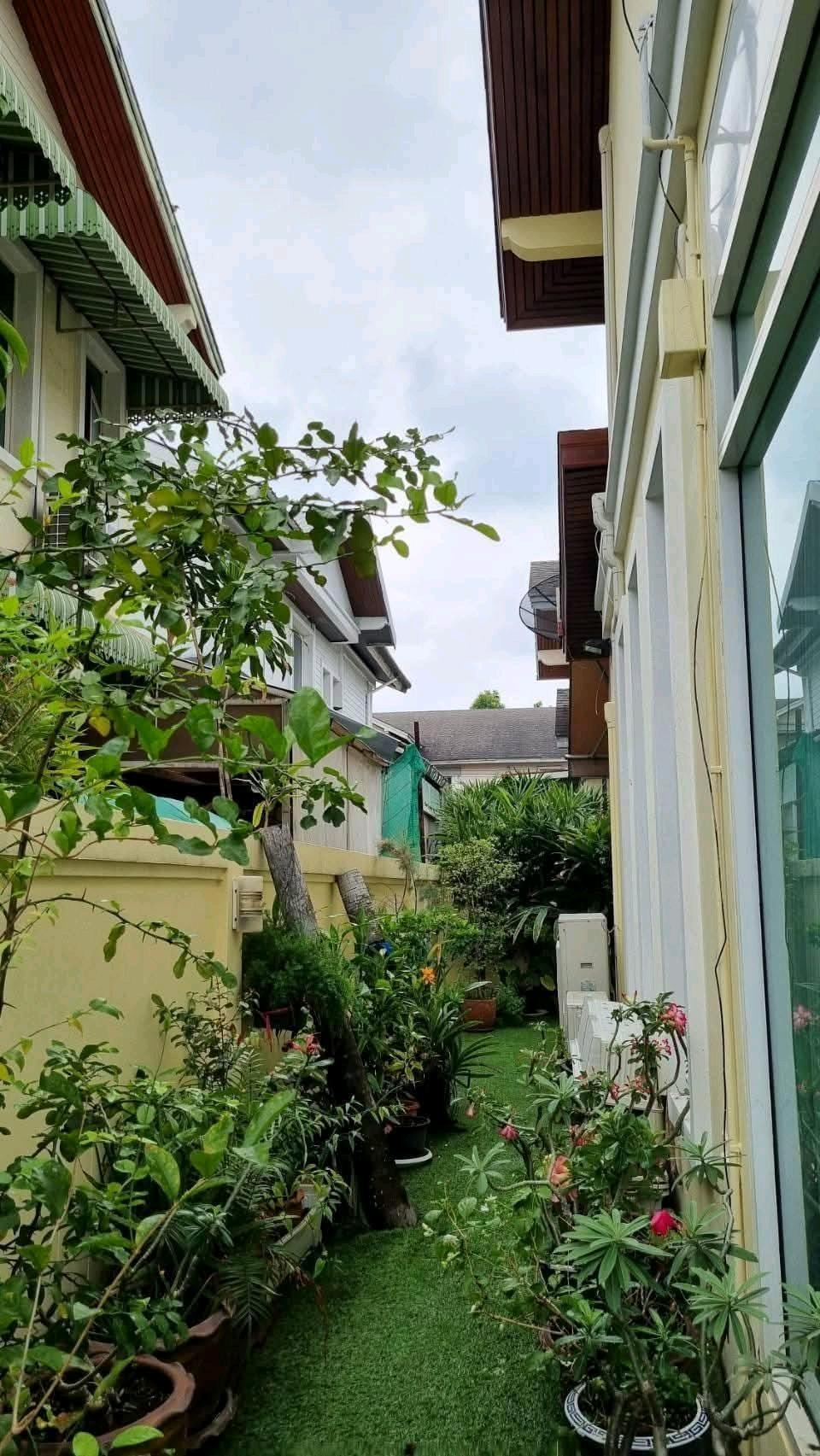 FOR SALE FOR RENTขาย และเช่า บ้านเดี่ยว 2 ชั้น บ้านสวนปริญสิริ ซอยโยธินพัฒนา 3 (Baan Suanparinsiri) FOR SALE FOR RENTขาย และเช่า บ้านเดี่ยว 2 ชั้น บ้านสวนปริญสิริ ซอยโยธินพัฒนา 3 (Baan Suanparinsiri) 60 วา 3 ห้องนอน 3 ห้องน้ำ   – รูปที่ 4