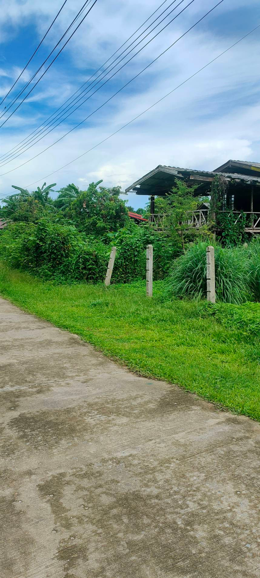 ขายที่ดินสวยทำเลทอง อำเภอพาน เชียงราย เหมาะสร้างบ้านพักผ่อน หรือเก็งกำไร! – รูปที่ 4