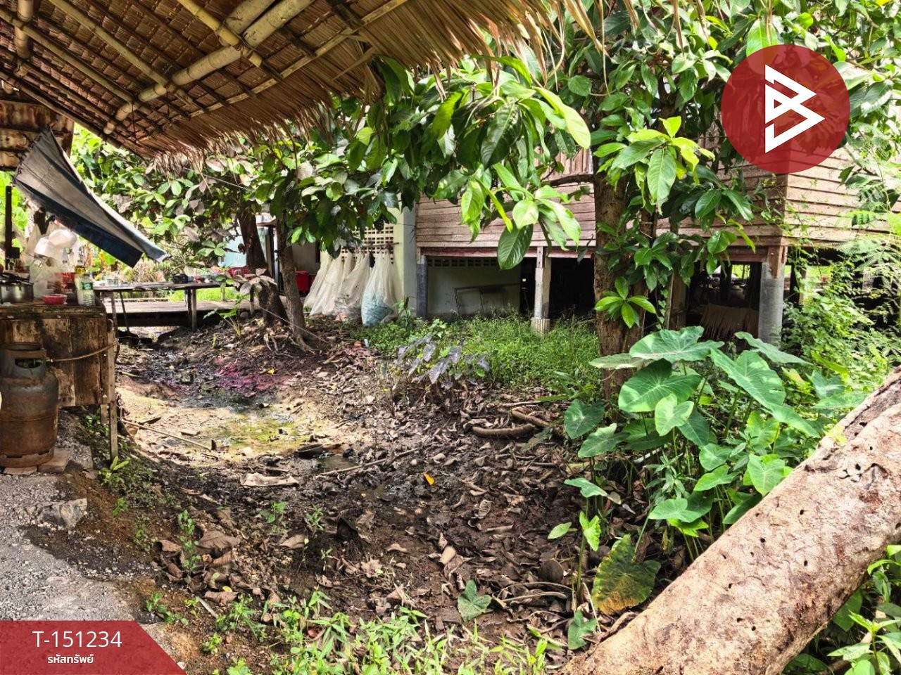 Empty land for sale, area 198 square meters, Amphawa, Samut Songkhram, good location next to the road. – รูปที่ 4