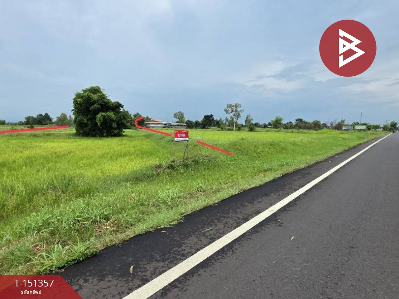 Land for sale, area 5 rai 93 sq m, Si Somdet, Roi Et. – รูปที่ 4