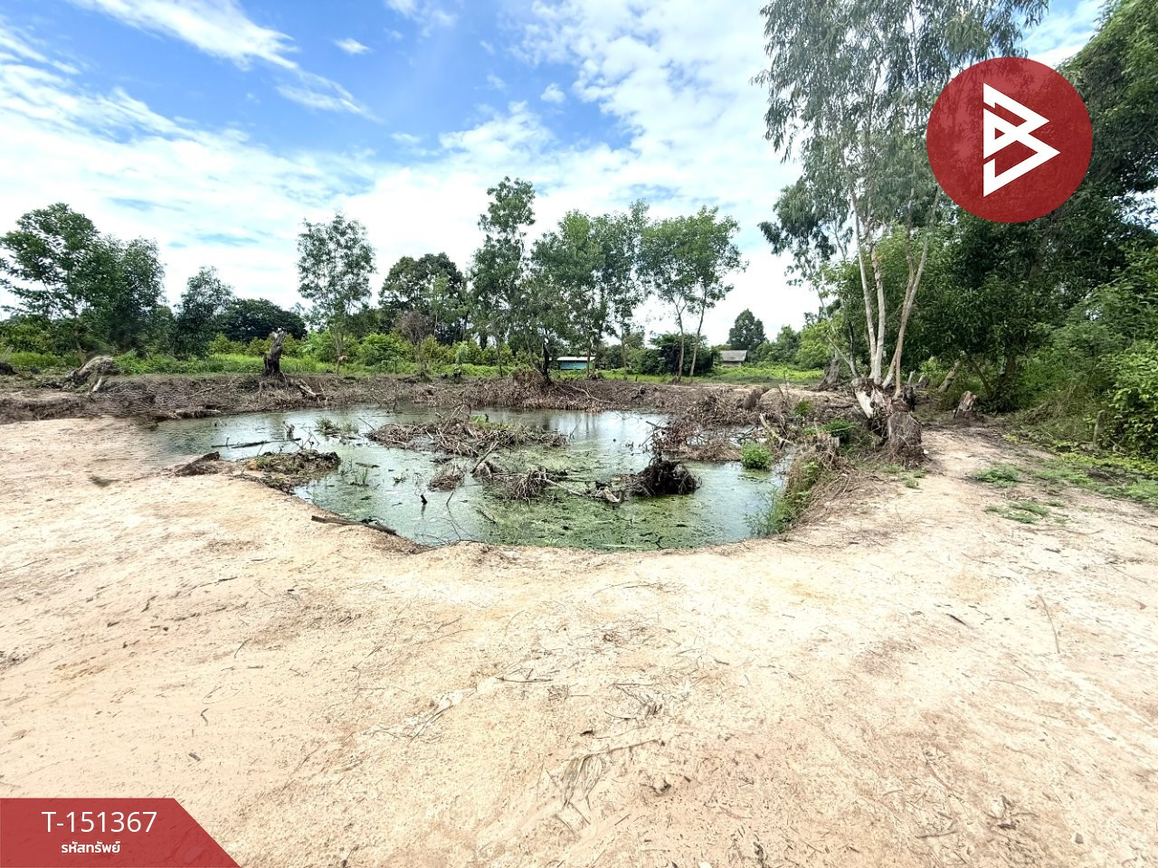 Land for sale, area 3 rai 1 ngan 5 sq m, Tha Mai, Chanthaburi. – รูปที่ 4